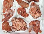 Lot: Natural, Red Quartz Crystal Clusters - Pieces #101530-1